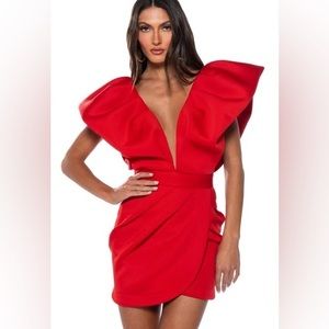 Amazing Christmas or Valentines dress!